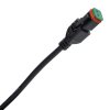 2-POLIG SPLITTER 30cm -> 60cm + 60cm | f. DEUTSCH DT | Y-Verteiler mit Kabel